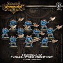 Cygnar Stormguard Unit Box (plastic)