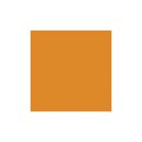 Ember Orange - P3 Paint