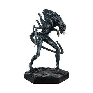 Aliens - Xenomorph Warrior