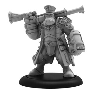 Brigadier General Gunnbjorn – HORDES Trollblood Warlock (metal) 