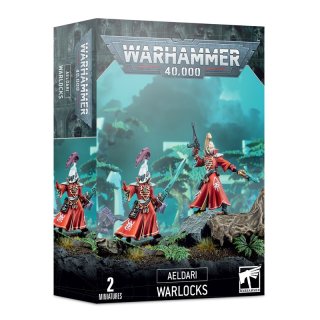 AELDARI: RUNENLESER