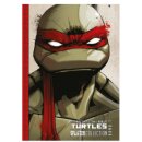 Teenage Mutant Ninja Turtles - Splitter Collection 01