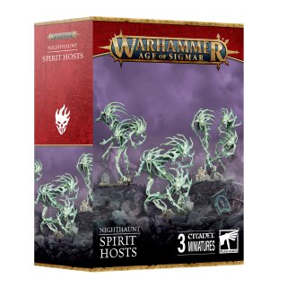 WH Age of Sigmar: Nighthaunt - Spirit Hosts