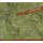 P&P - Spielmatte - Forest 24x24