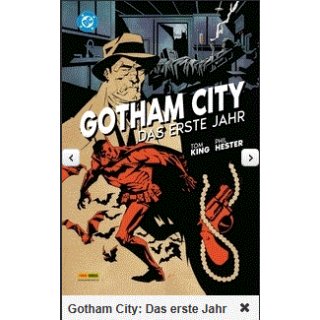 Gotham City - Das erste Jahr