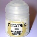 PRAXETI WHITE