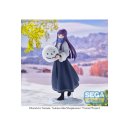 Figur - Frieren - Fern - Snow Fun
