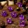 Dice - Sharp Edge - 7-Die Set - Enchanta