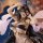 Figur - Overlord - Albedo Arabian Nights ver.